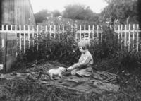 Child feeding a pig a bottle, Newfane, Vt.