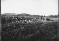 Henry Wilson's Cornfield on Dummerston Hill