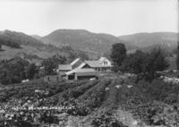 Hill Scenery, Jamiaca, Vt.