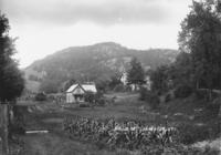 Bald Mt., Jamaica, Vt.