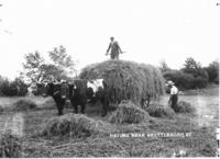 Haying near Brattleboro, Vt.