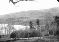 Birds-Eye View, Asylum Meadow, Apr.16, .09.