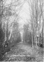 Autumn, Putney Mt, View