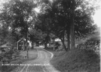 Baker Brook Road, Williamsville, Vt