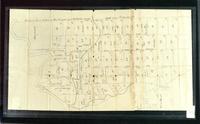 Williston plat map, undated