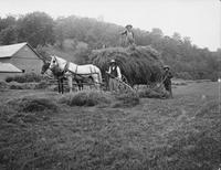 Loading hay