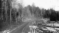 Dirt road in winter