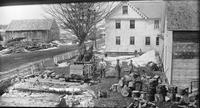 Sawing wood with a drag-saw using horse power in North                        Danville