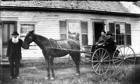 Man, horse, and carriage with two women