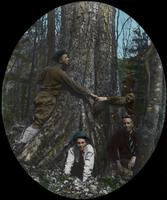 Big Birch in Smugglers' Notch