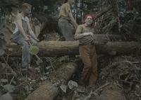 Trail clearing south of Burnt Rock Mountain