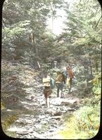 Voter's party on a Mount Abraham trail