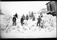 Harvesting ice