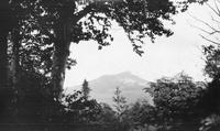 Camel's Hump through the trees