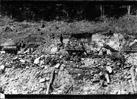 Railroad workers loading dirt into train cars