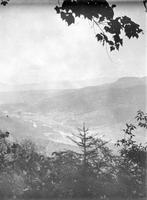 Valley through the trees