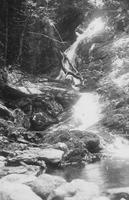 Falls at  Breadloaf Glen