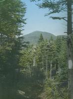 A view of Mount Abraham