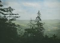 Winooski Valley from Molly Stark Trail on Camel's Hump