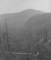 Baker's Notch and Mount Ethan Allen from Couching Lion (Camel's Hump) trail