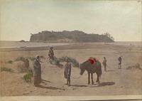 A group of travelers on the Japanese coast