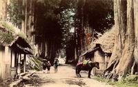 Three travelers walking down a country road