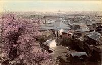 A view of Yokohama