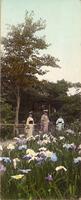 Three children standing in a garden