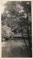 Bridge spanning a slow moving river