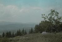 Adirondacks from the hill south of Shrewsbury Pond