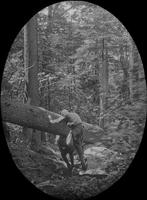 Ward Olney and Leverett Smith on the Long Trail near indian gravestones North of Middlebury Gap