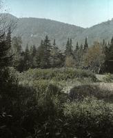 Chilcoot Pass from Beaver Meadows