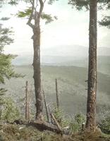 Worcester lookout on the Couching Lion (Camel's Hump) New Trail