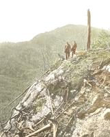 A view of Mount Ethan Allen looking South from the first knoll along the New Trail on Couching Lion (Camel's Hump)