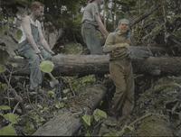 Trail building 2 - sawing logs