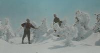 The top of Mount Mansfield