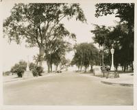 Burlington Streets: Battery Street Park