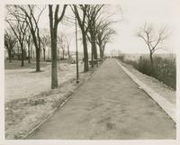 Burlington Streets: Battery Street Park