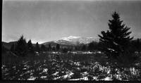 View of Green Mountains from Proctor Maple Research Center property