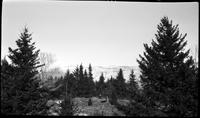 View of Green Mountains from Proctor Maple Research Center property