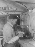 Worker checking humidity of sugar bush