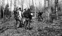 Workers surveying the sugar bush