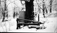 Absorbing buckets in the sugar bush