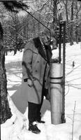 Ed Fielling collecting maple sap