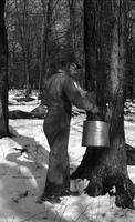 Worker gathering collection bucket