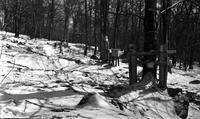 Collection tanks set up in the sugar bush