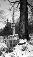 Collection bucket attached to tree #487